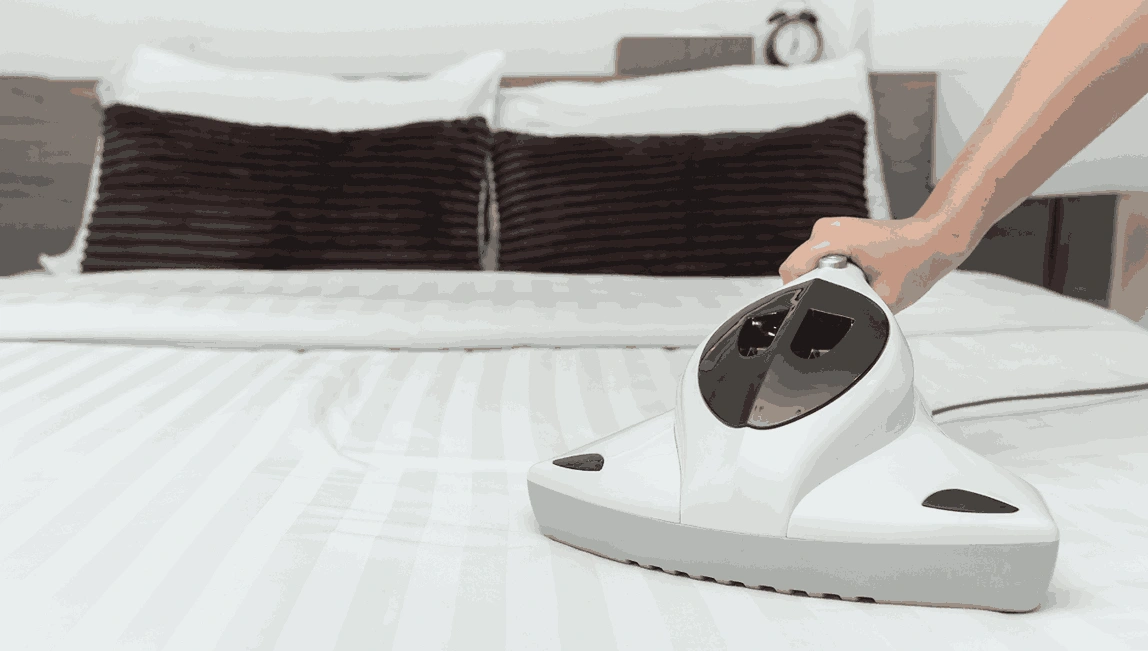 Professional Mattress Cleaning Breakwater